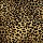 Kane Carpet: Kaplani Agile Cheetah